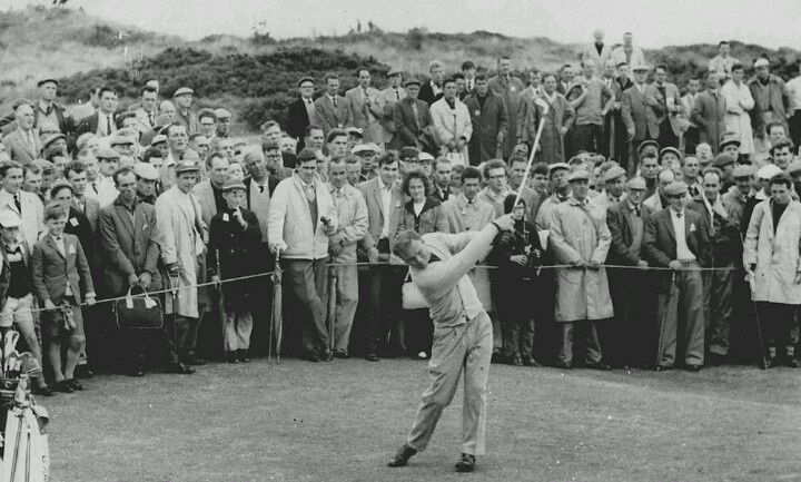 The King